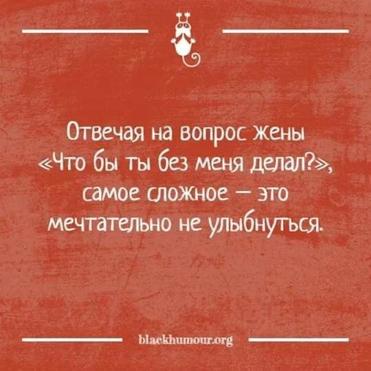 👉Подпишись на ТЕД