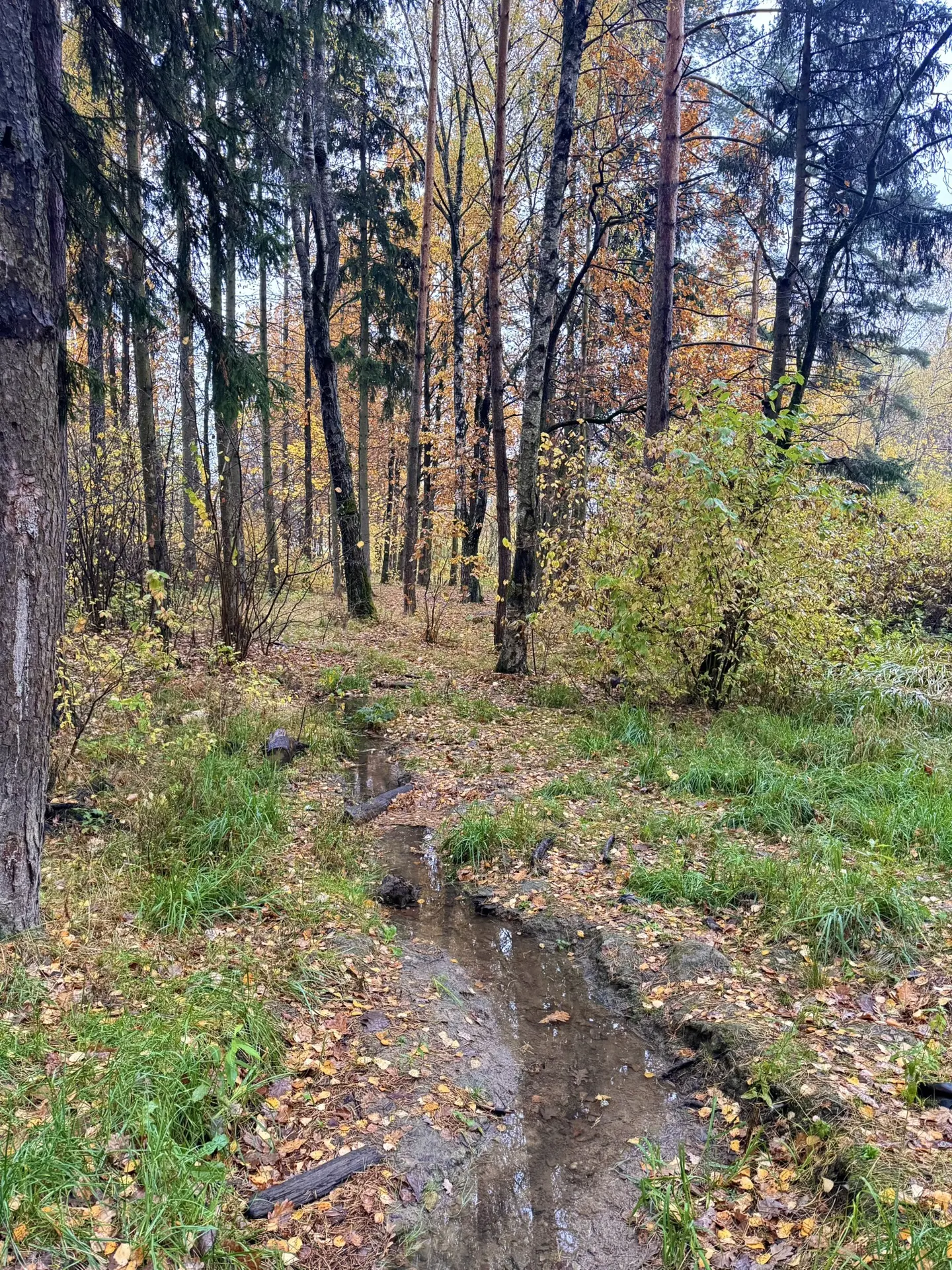У природы нет плохой погоды. Но ее погода расстраивает. Холодно и мокро