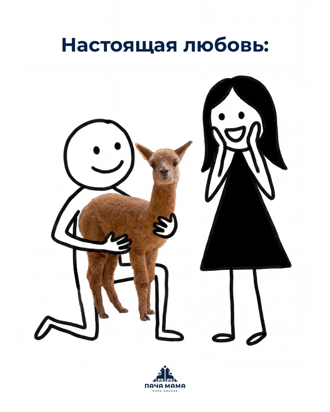 Не знаете, что подарить человеку, у которого всё есть?