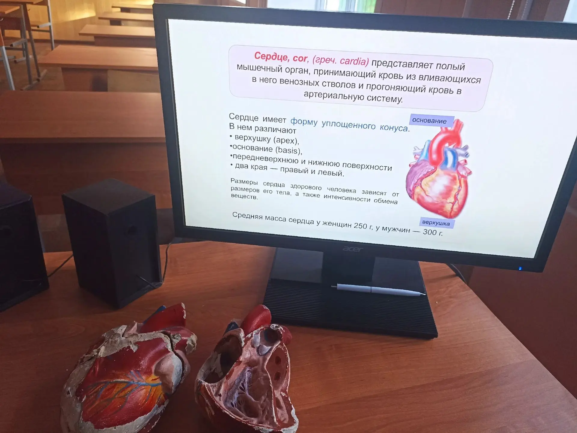 💥Занятия медицинского класса для одиннадцатиклассников возобновились⚕!