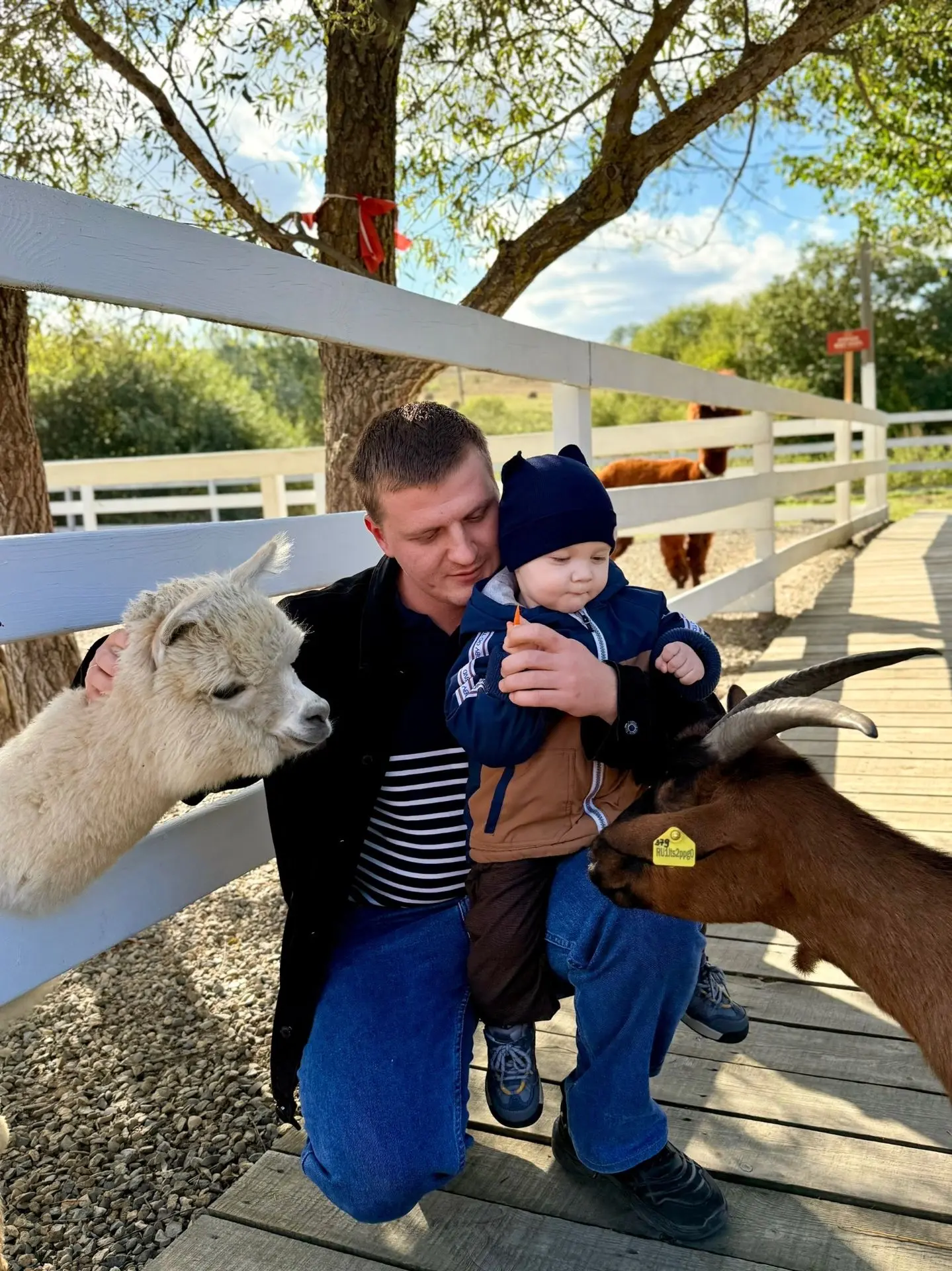 💙 «СПАСИБО, ПАПА!» — НАША СЕМЕЙНАЯ ТРАДИЦИЯ! 👨‍👦❤️