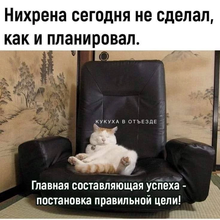 Кукуха в отъезде 🐦