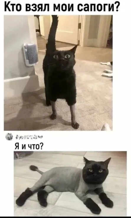 Всех с международным днём кроссовок