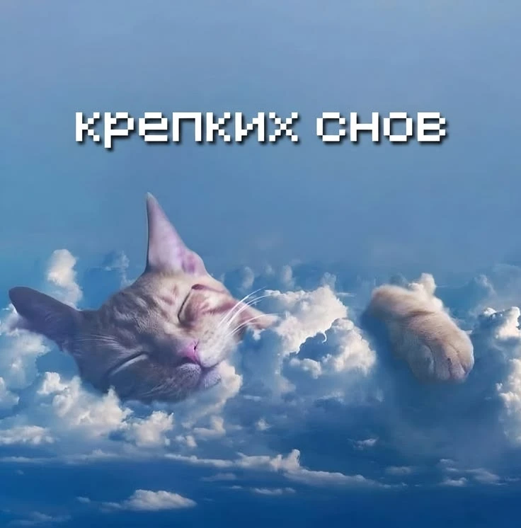 #спокойнойночи