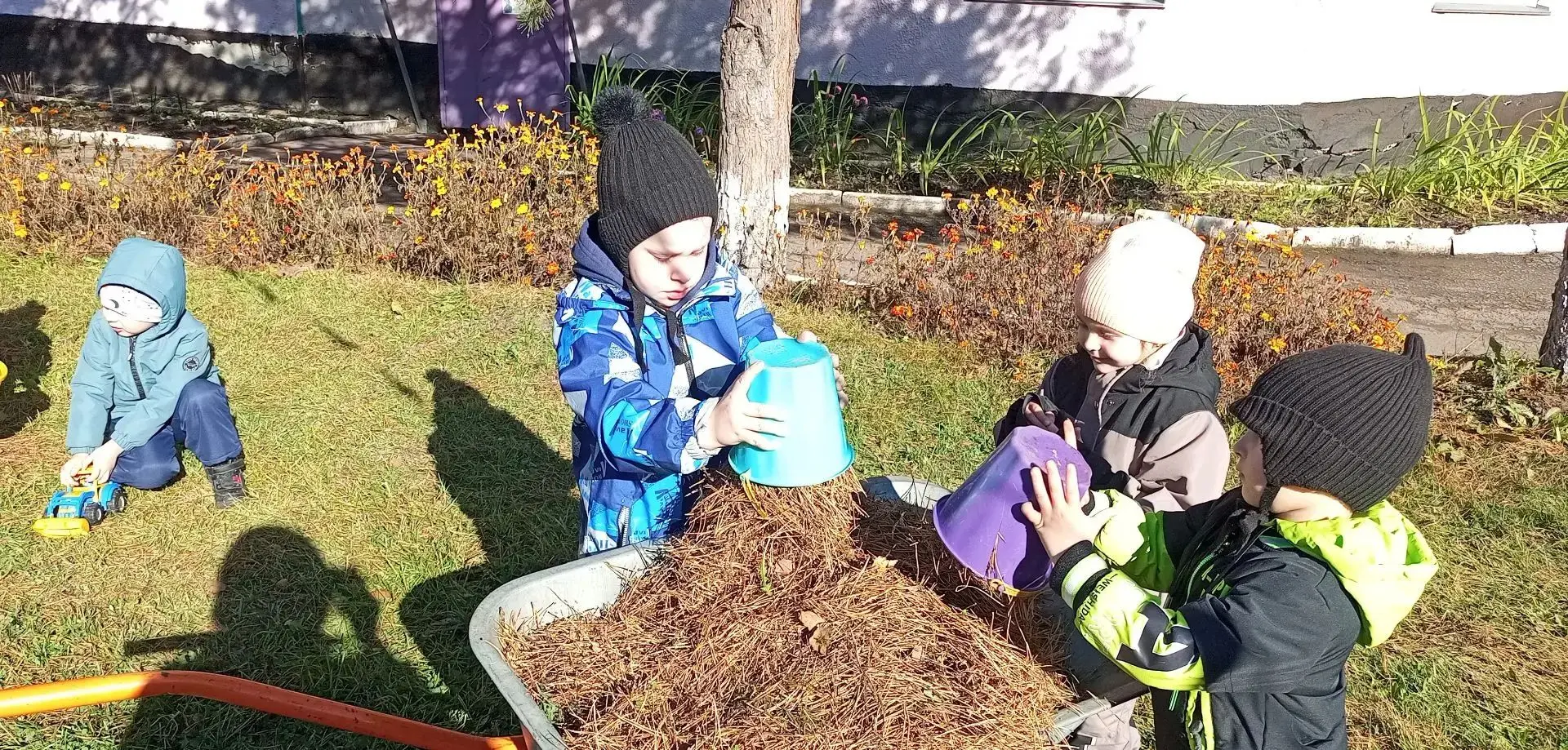 Золотая осень и добрые дела! 🍂