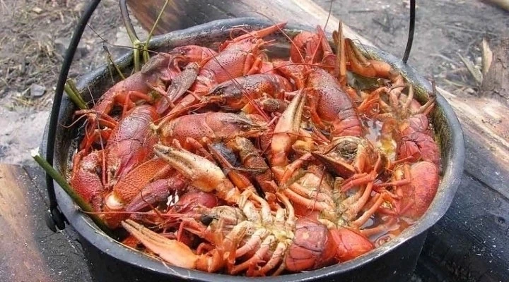 🦞 Живые раки!!! 🦞