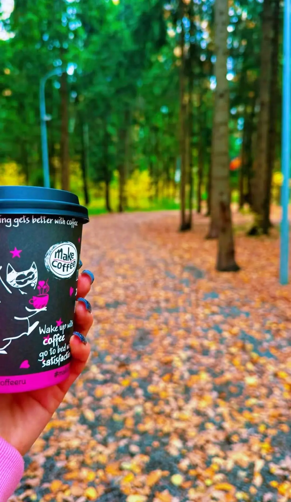 🍁🍁🍁🍁🍁🍁🍁🍁🍁🍁