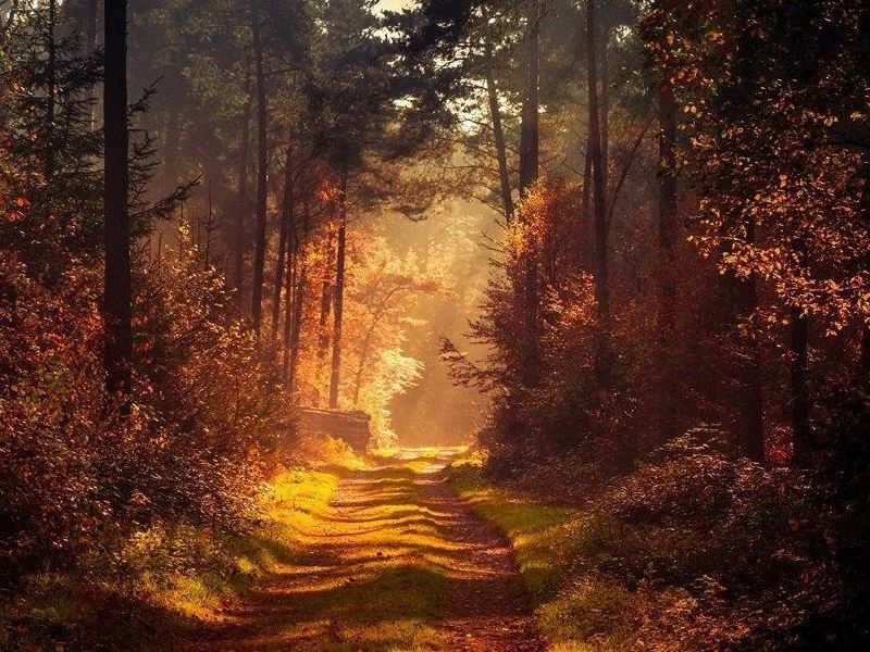 🌺 С добрым утром