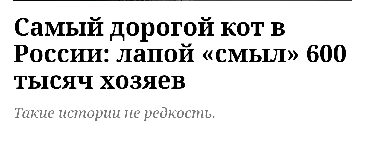 😎 вот это кот богат хозяевами
