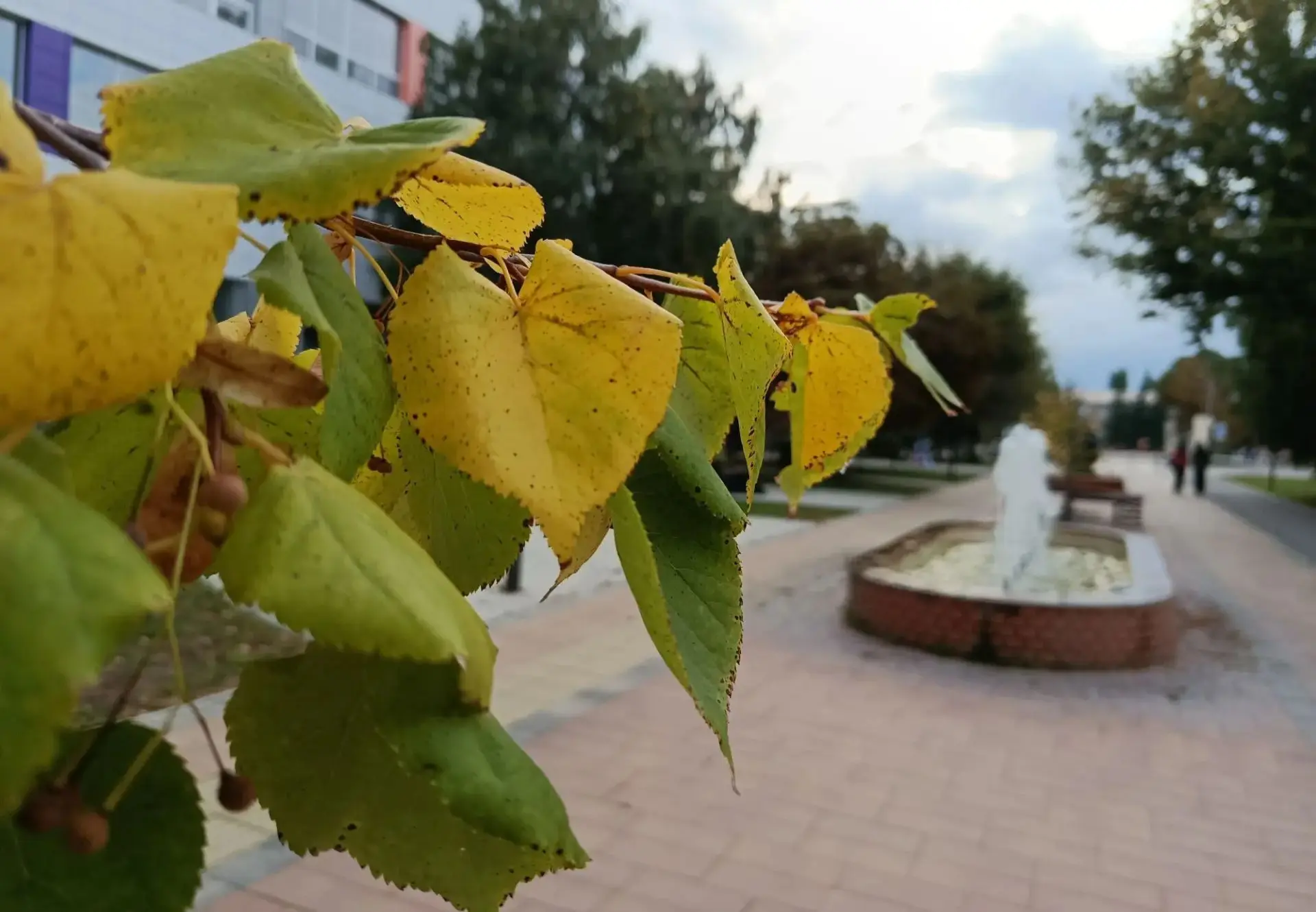 ☀️ Доброе утро, Ершов! Сегодня 12 октября, понедельник.