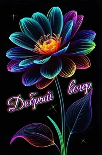 Добрый вечер!💜