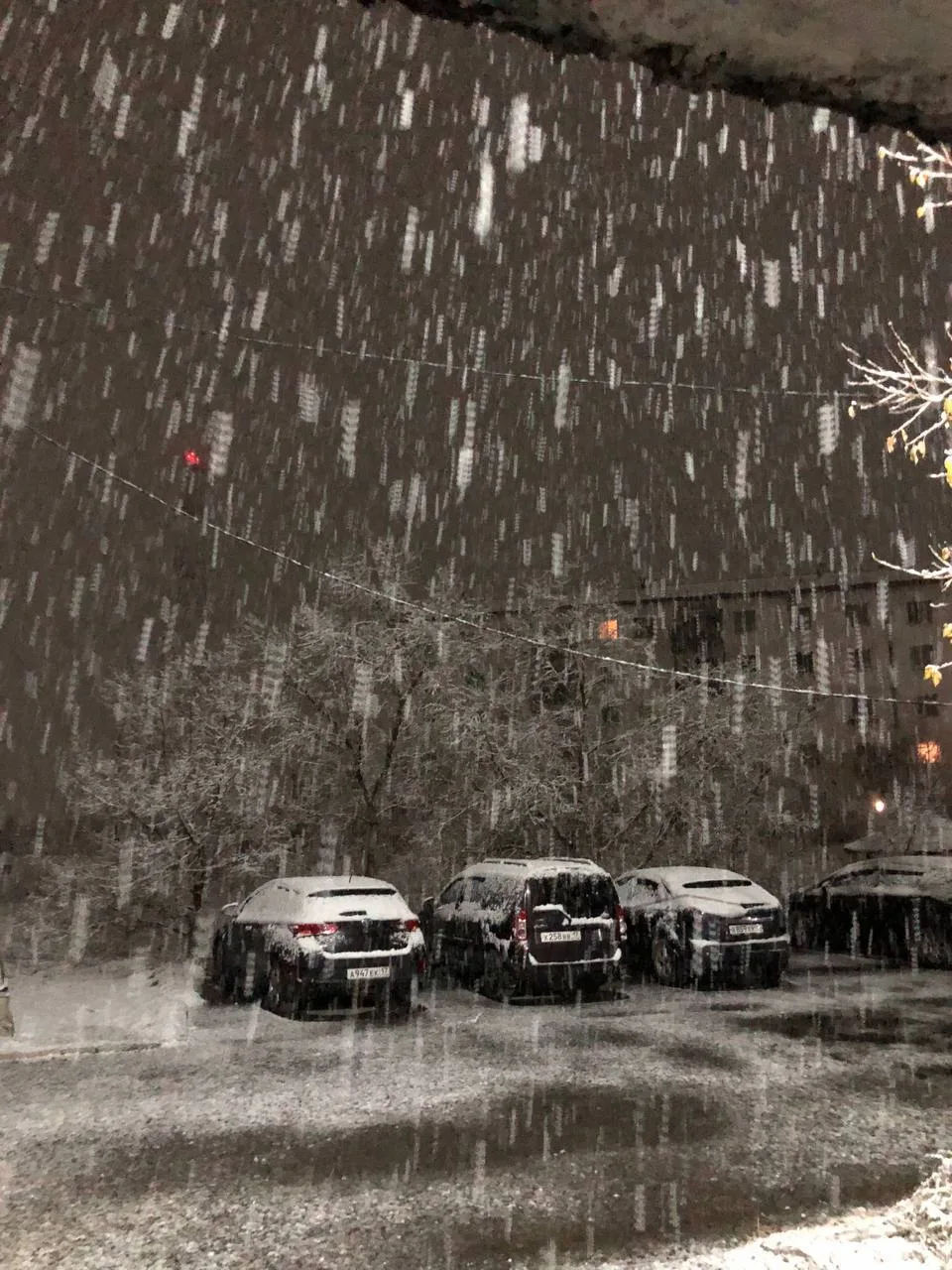 ❄️ 14,16,17,18 октября в Кызыле ожидается снегопад.