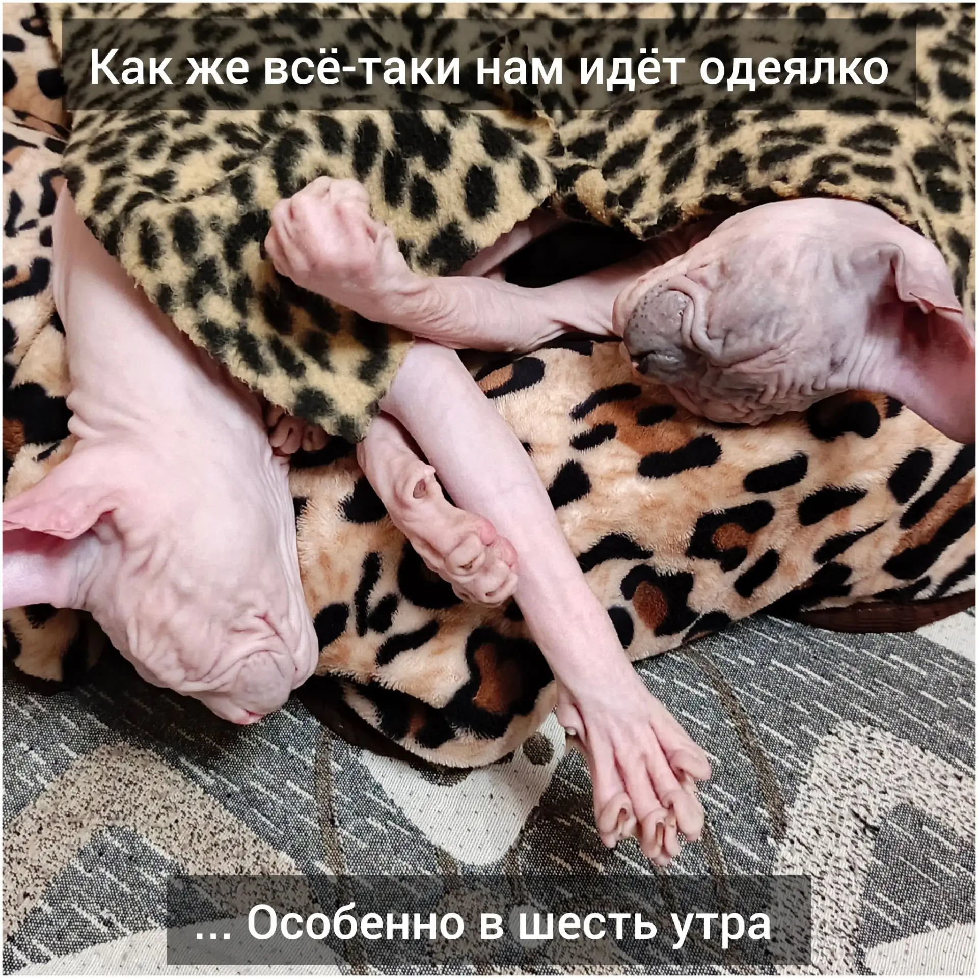 Всех с началом новой рабочей недели!😁