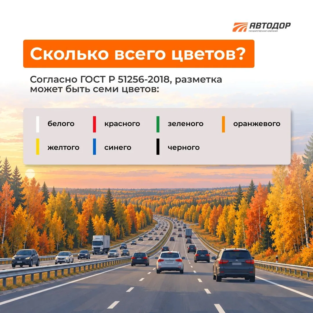 🛣 Думаете, на дороге только два цвета? Их семь!