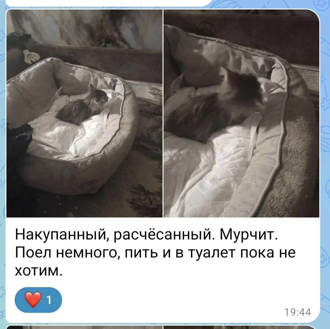А вот и ответ на вопрос к посту "кто сегодня уехал домой"!