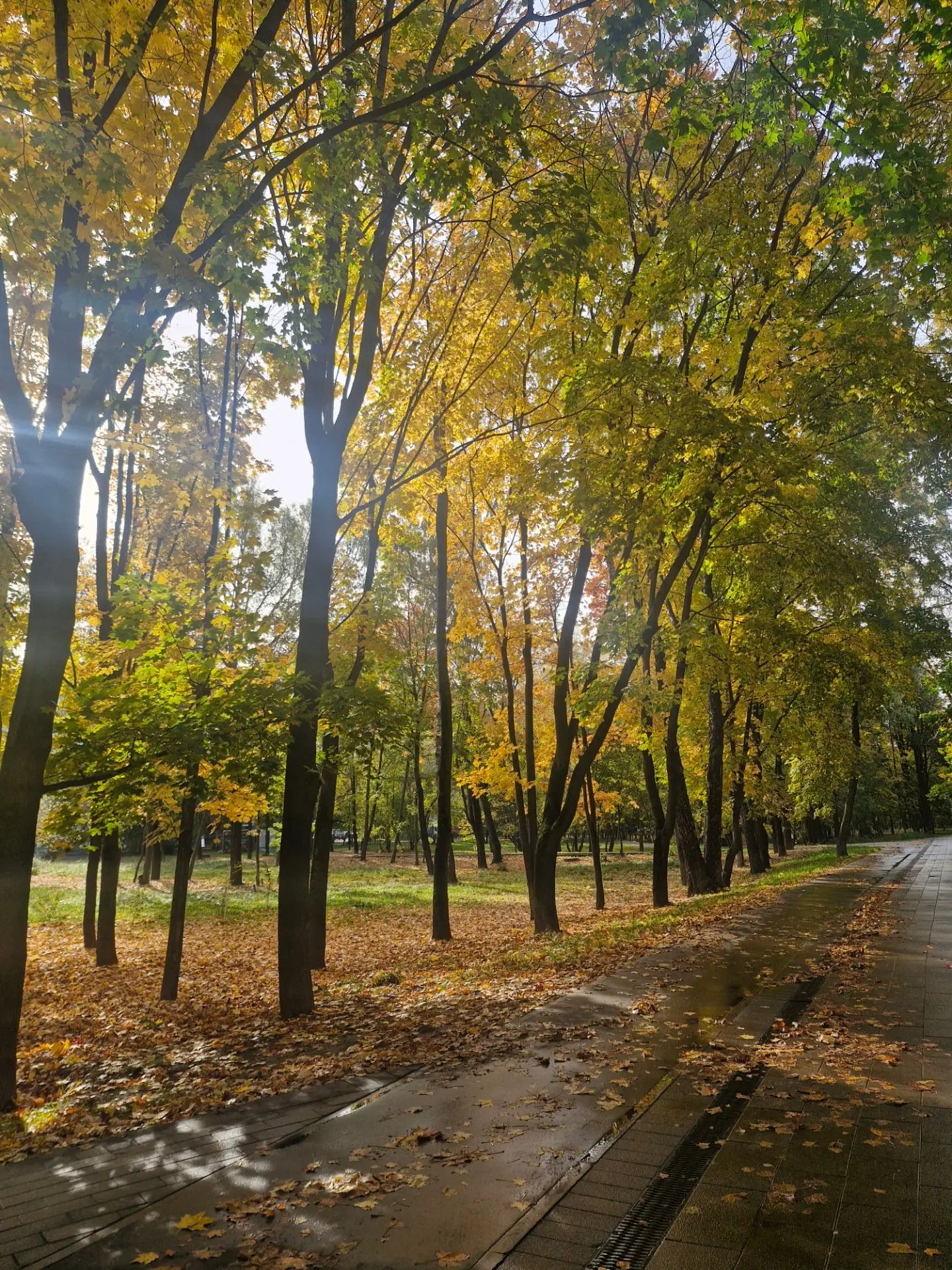 Девочки, всем привет! 🍂🍁