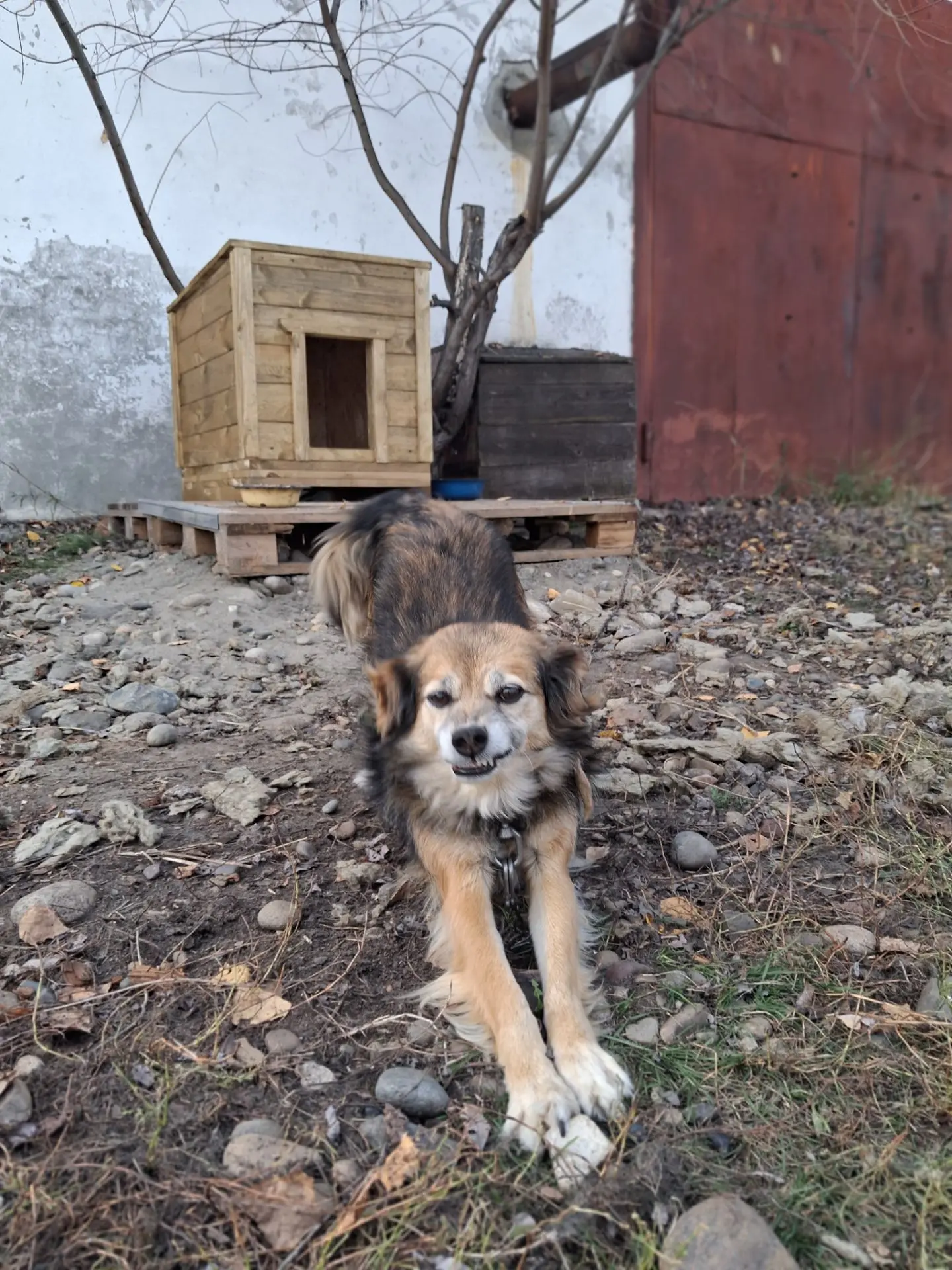 🌿🌿🌿 Большая благодарность всем, кто не остался в стороне и помог собрать нам необход...