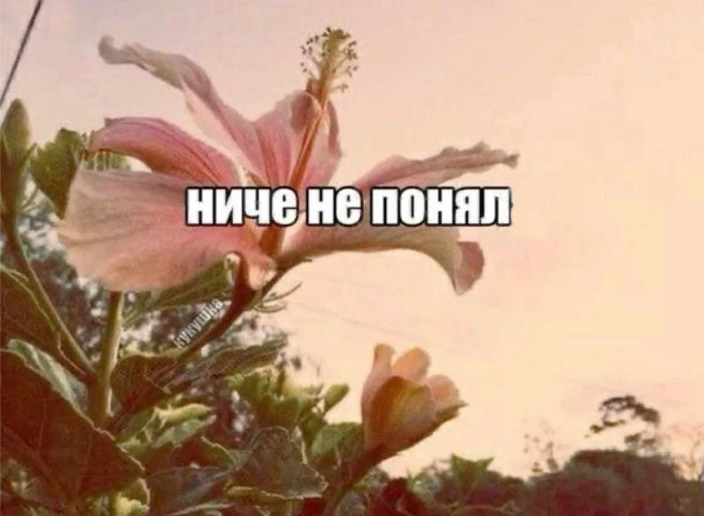 Это вы ДО/ПОСЛЕ сегодняшнего урока)