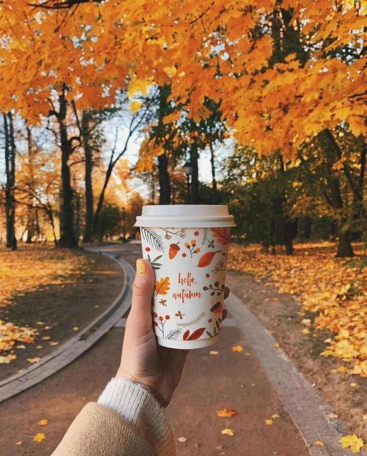 Доброго дня, рукодельницы☀️🤩