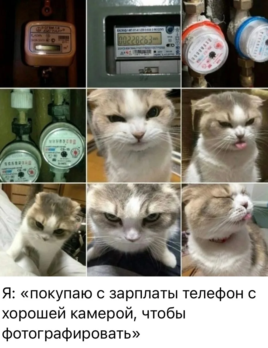 Тем временем мои фото: