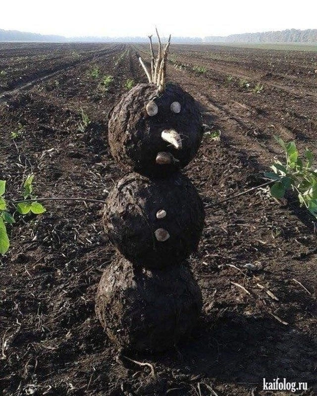 ❄️ Россиянам обещают ТЁПЛУЮ и даже БЕСснежную зиму – климатологи