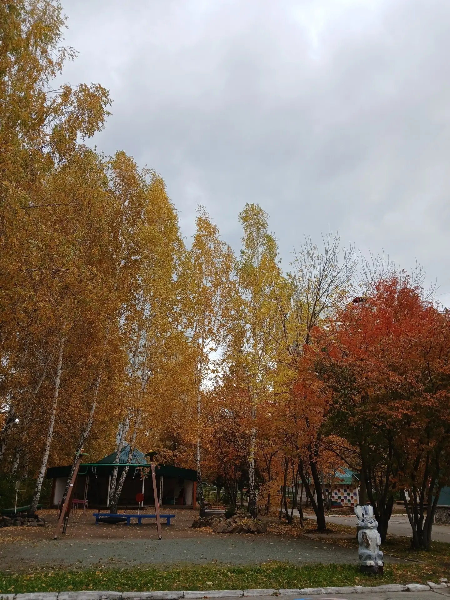 🌥️ Доброе утро, Новосибирск!