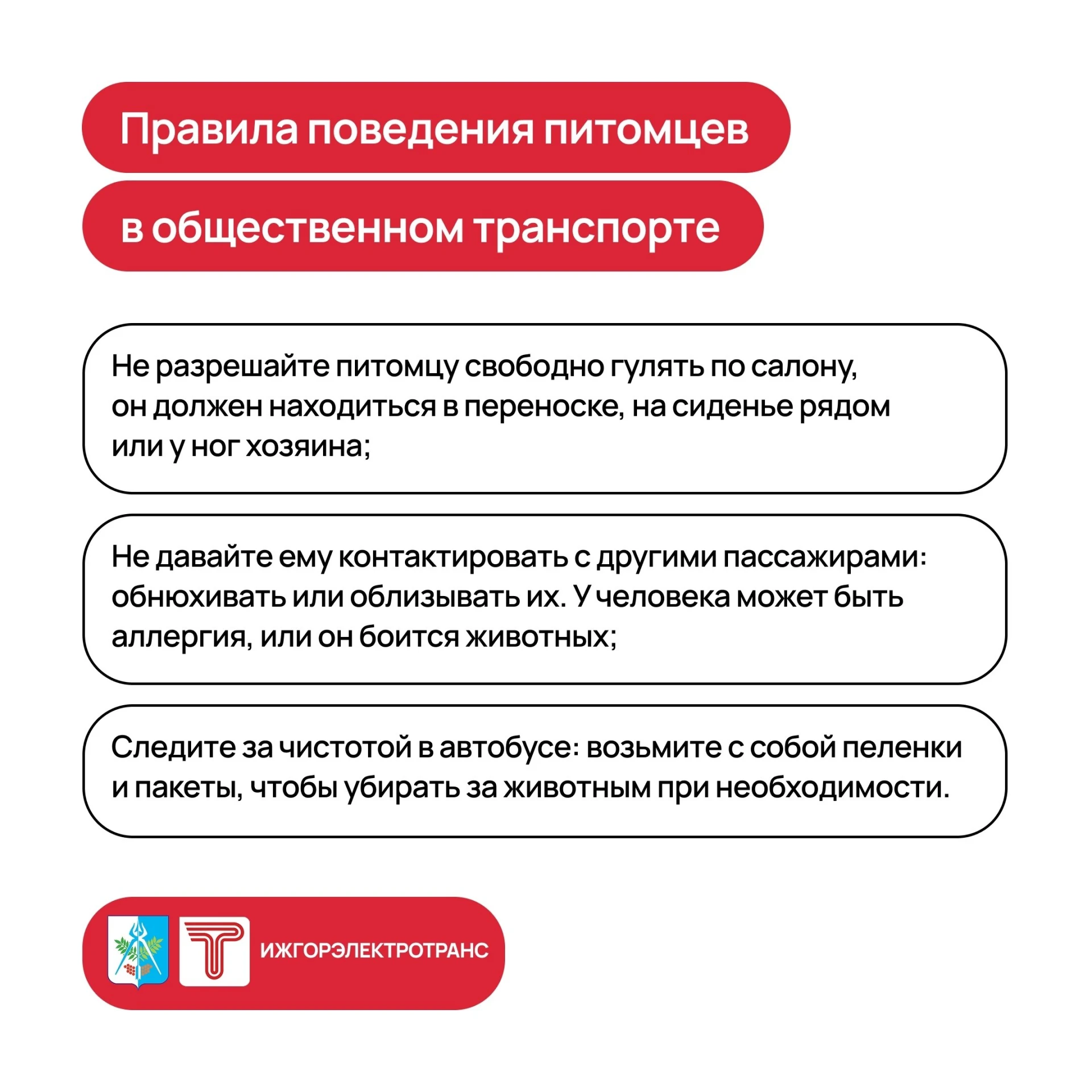 В «ИжГЭТ» напомнили, как перевозить питомцев в общественном транспорте.