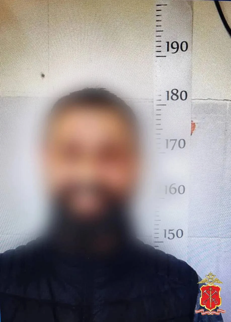 В Пушкине четверо мужчин с особой жестокостью изнасиловали и убили 34-летнего петербуржца.