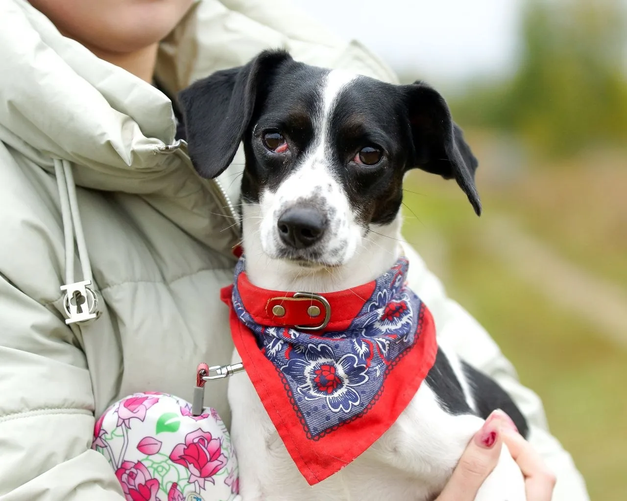 ИЩЕТ ДОМ МАЛЕНЬКОЕ СЧАСТЬЕ!🧡