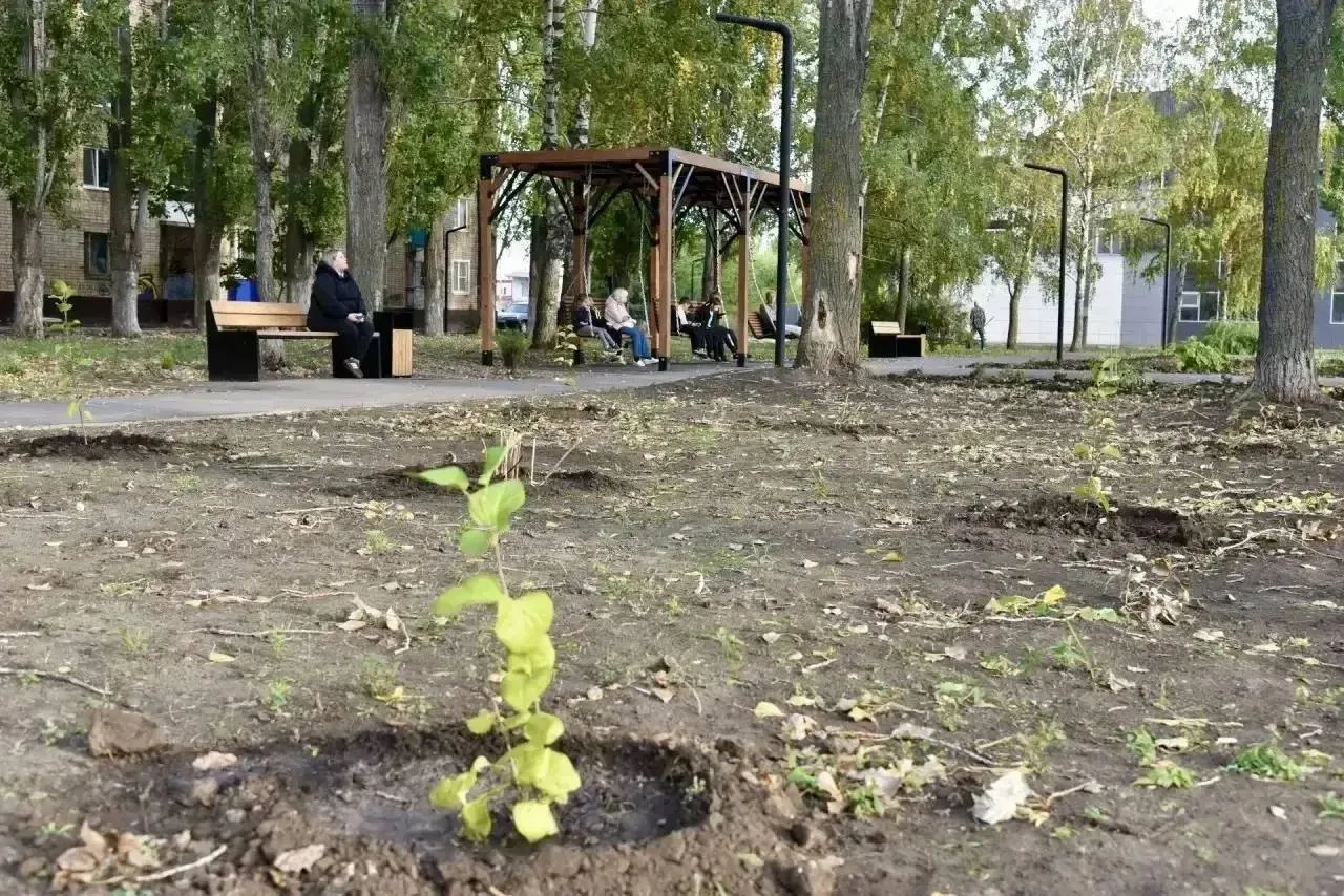 В скверах продолжают озеленение
