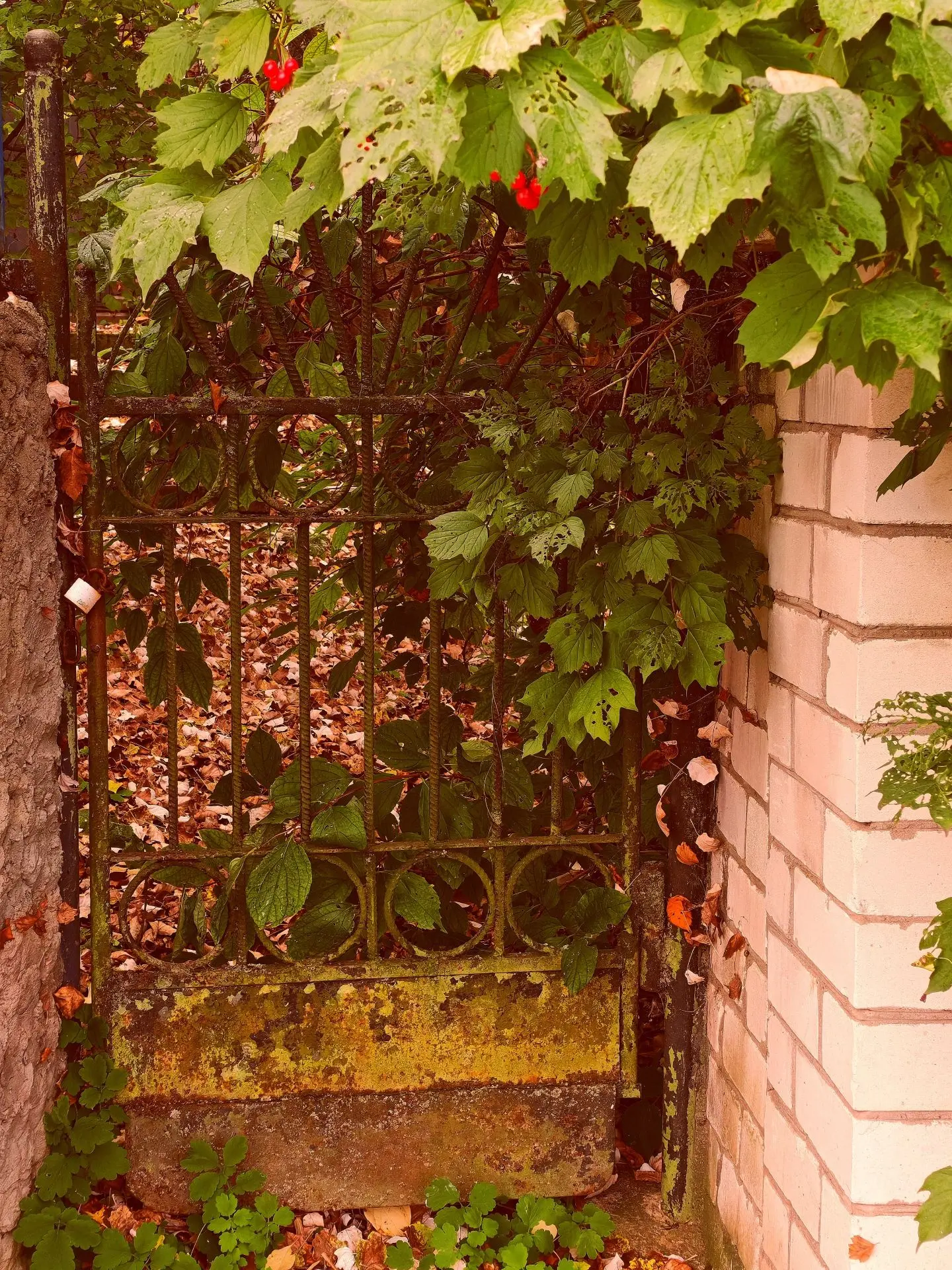 Осенний Горбатов.