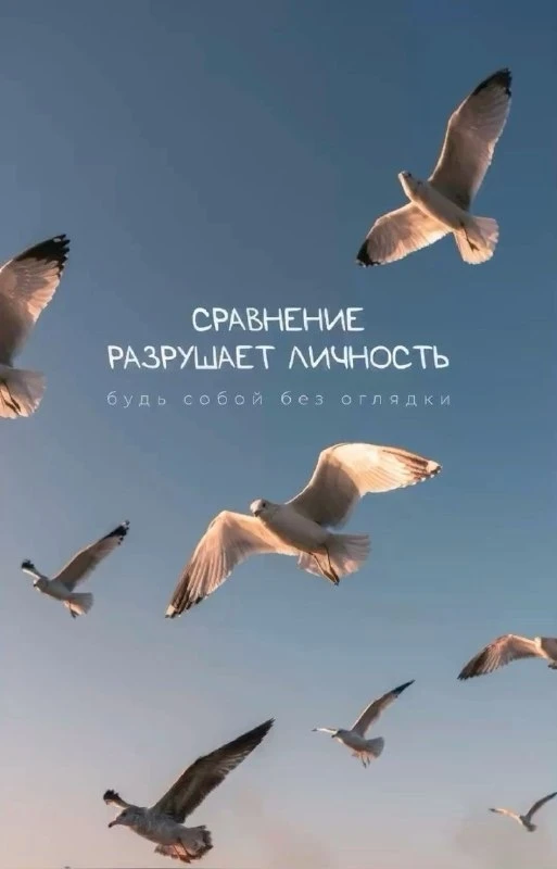 Открытки: подписаться ❤️