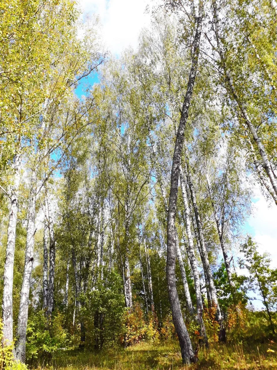 ⛅️ С добрым утром!