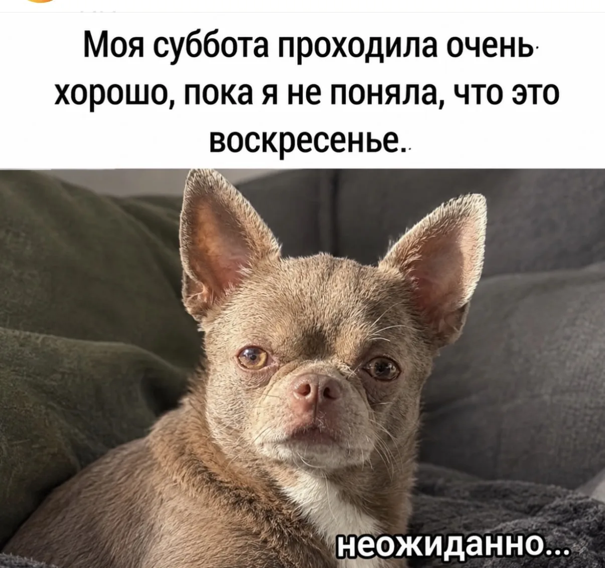 Ваще то
