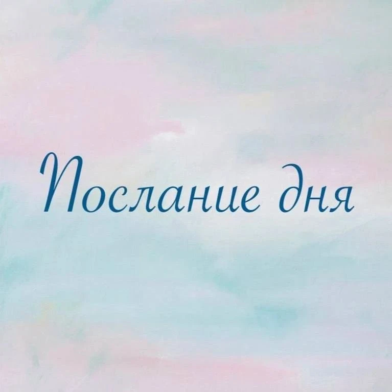 ✨