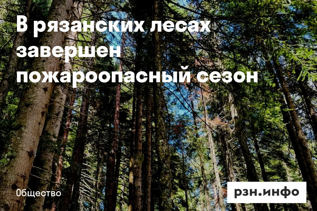 В рязанских лесах завершен пожароопасный сезон