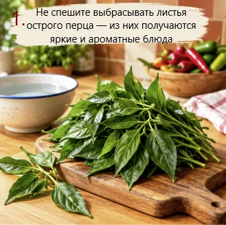 Не спешите избавляться от листьев острого перца — из них получаются яркие и ароматные б...
