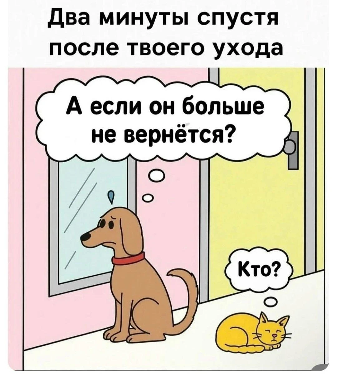 Разница между собакой и кошкой 😂