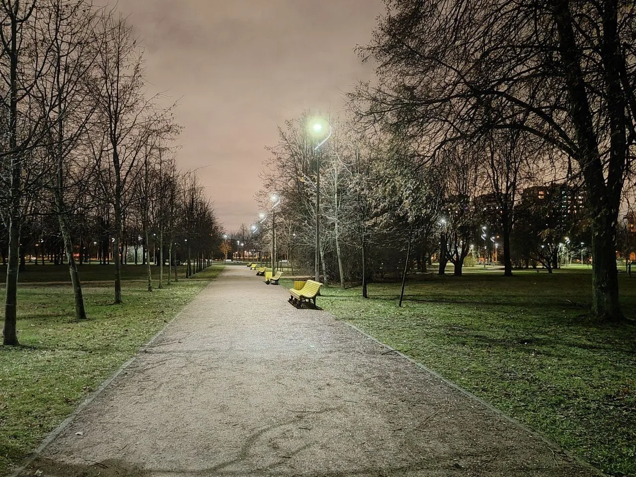 Минувшая ночь стала самой холодной с начала осени в Петербурге. В центре города и в акв...