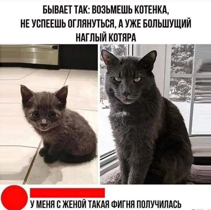 🔈 Подписаться 👈