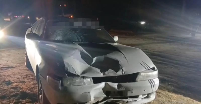 В Борзе возбудили дело после ДТП с погибшими женщиной и ребёнком