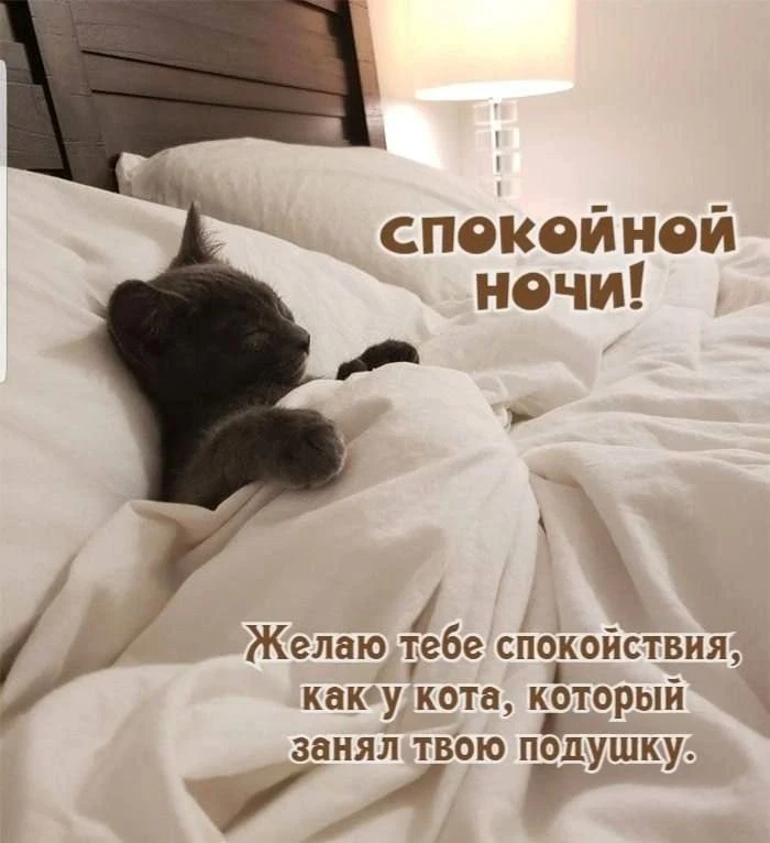 добрых снов💕