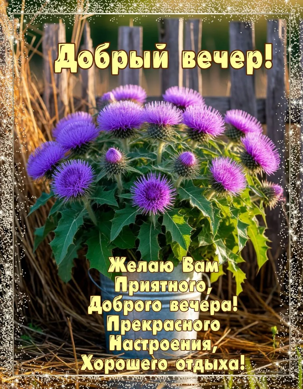 НАШИ КАНАЛЫ: