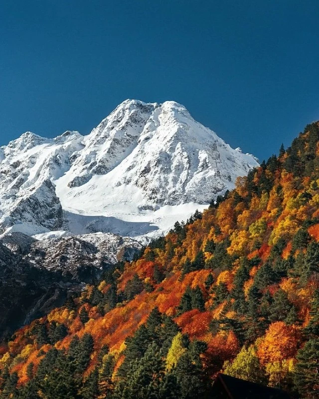 🍂 Там, где осень встречает зиму ❄️