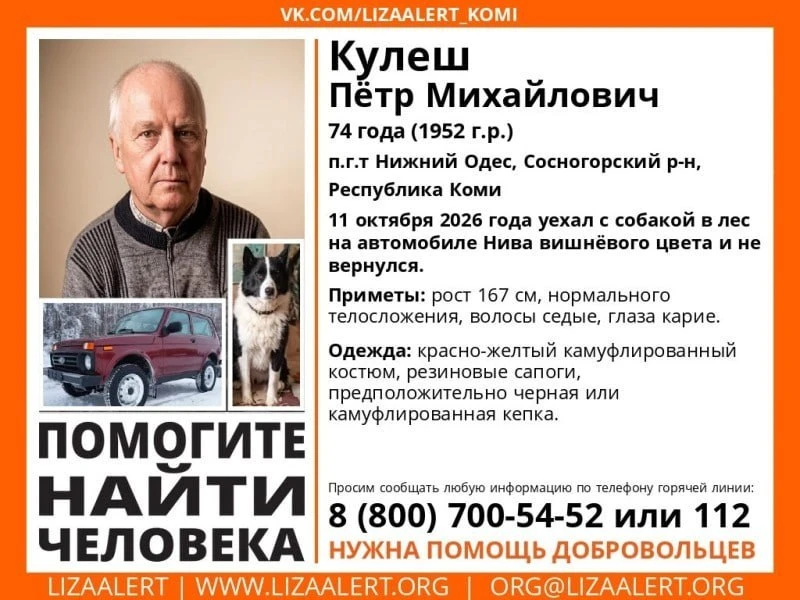 В Сосногорском районе ищут 74-летнего мужчину