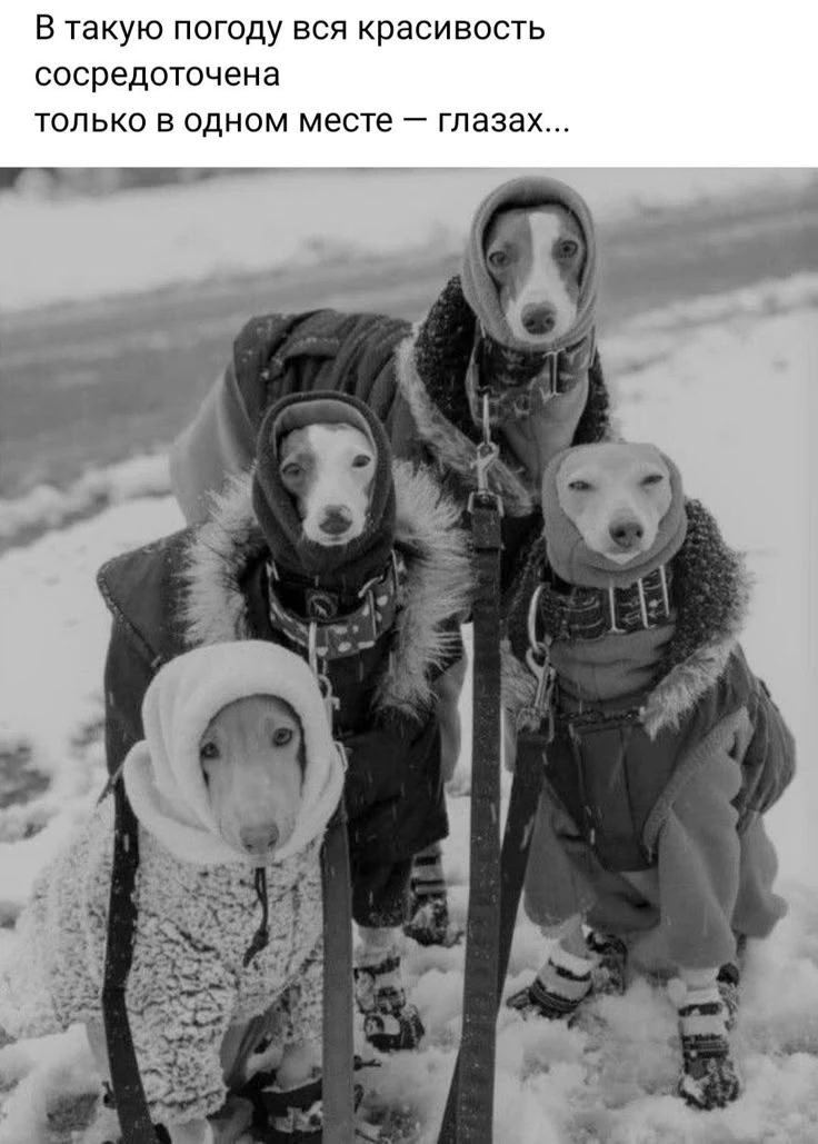 Ну вот и ноль🥶