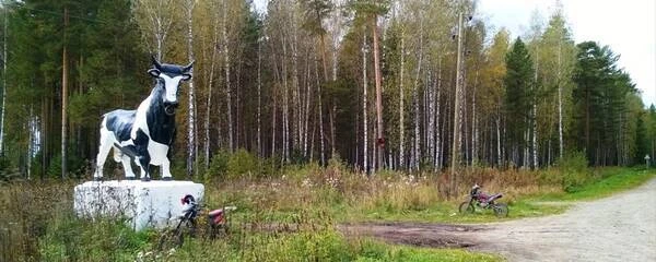 Молодость у истоков Островной: история поселка Красноармейский