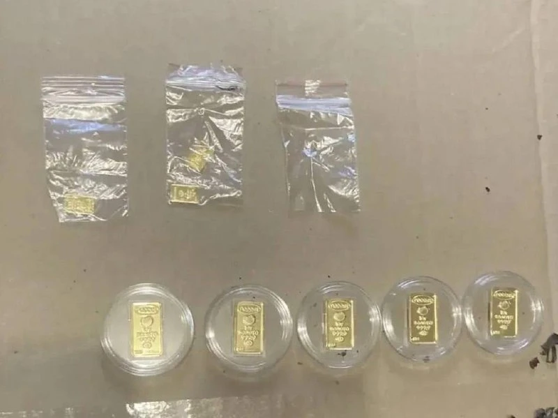 🤯 Домработница украла у москвички 155 золотых слитков из сейфа