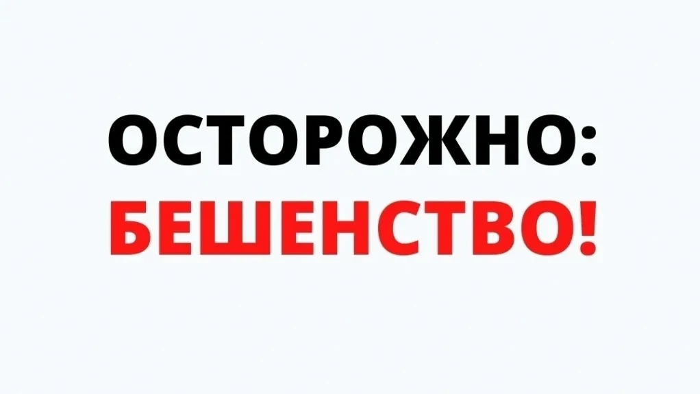 ❗ Карантин по бешенству ввели в трёх округах Пермского края — Пермском, Суксунском и Ку...