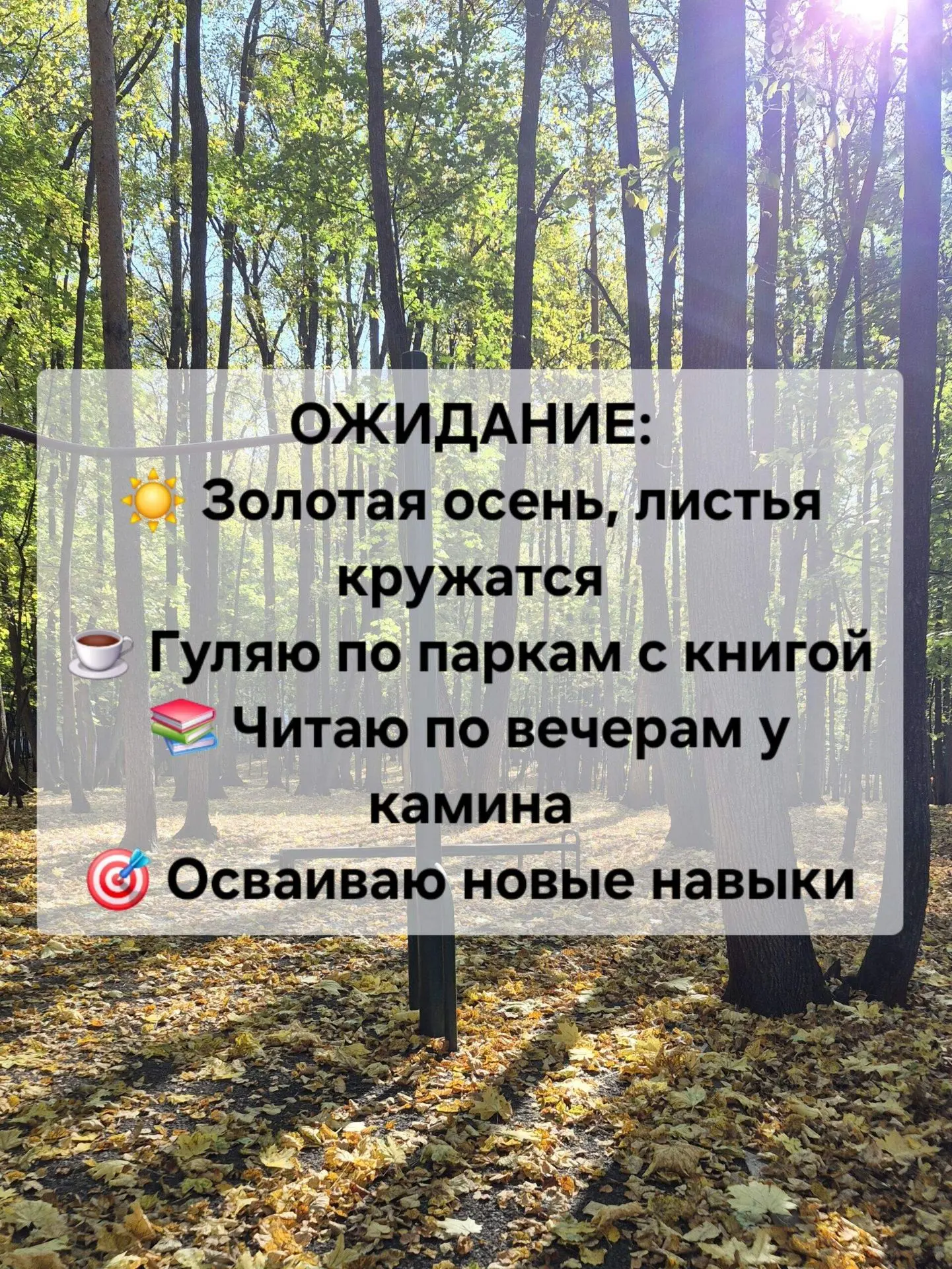 ОКТЯБРЬ В УФЕ: ОЖИДАНИЕ vs РЕАЛЬНОСТЬ 🍂